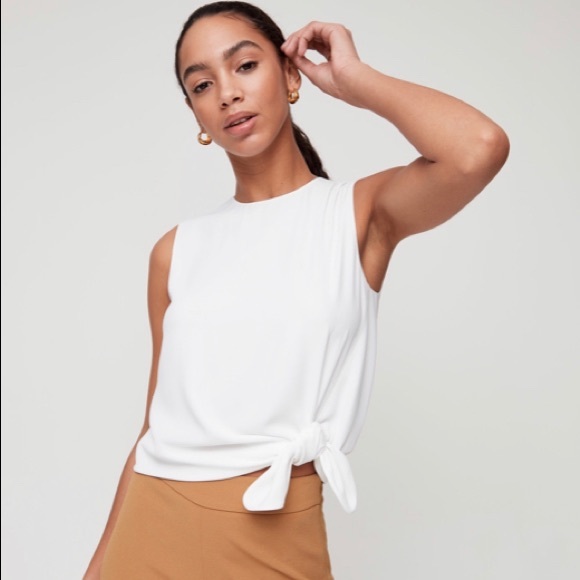 Aritzia Tops - ⭐️Aritzia Babaton Hopkins blouse❤️EUC